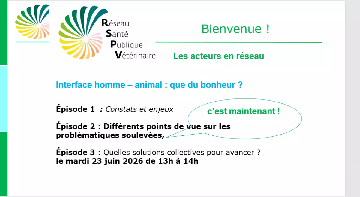 Webinaire RSPV épisode 2